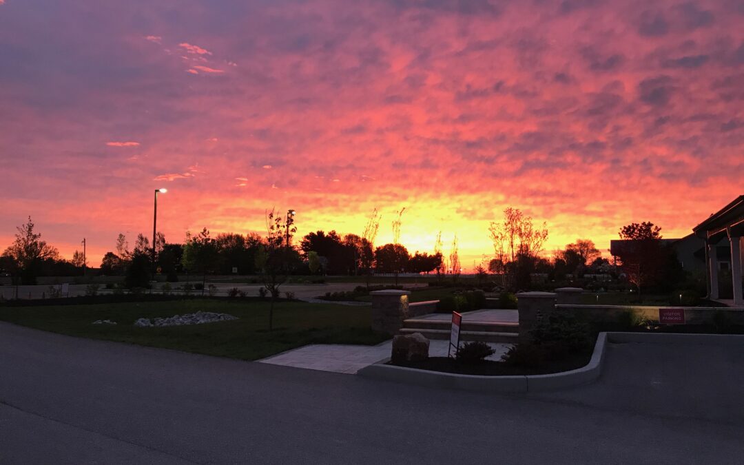 Moving to Westfield, IN: What You Should Know Before the Truck Pulls Up